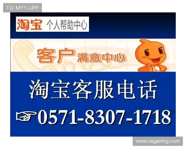 百宝来官网售后服务政策详解,保障您的权益与购物安心