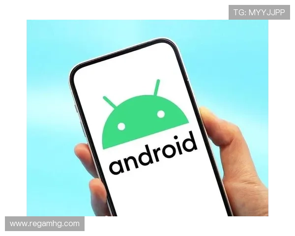 皇冠app安卓系统安全保障措施与使用安全建议全解析