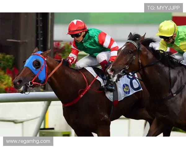 hkjc体育：深入了解香港赛马会体育赛事投注规则与风险控制策略