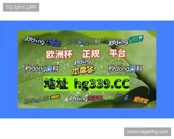 新2足球会员网址大全有哪些实用功能和会员权益详细解读